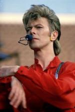 Концертные фото Дэвида 