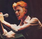 Концертные фото Дэвида 