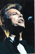 Концертные фото Дэвида 