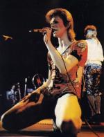 Концертные фото Дэвида 