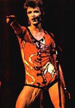 Концертные фото Дэвида 