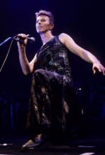 Концертные фото Дэвида 