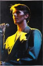 Концертные фото Дэвида 