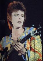 Концертные фото Дэвида 