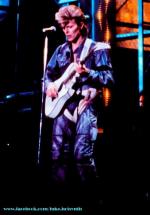 Концертные фото Дэвида 