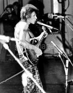 Концертные фото Дэвида 