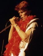 Концертные фото Дэвида