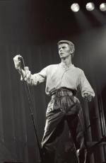 Концертные фото Дэвида 