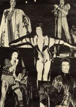 Концертные фото Дэвида 