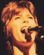 Концертные фото Дэвида 